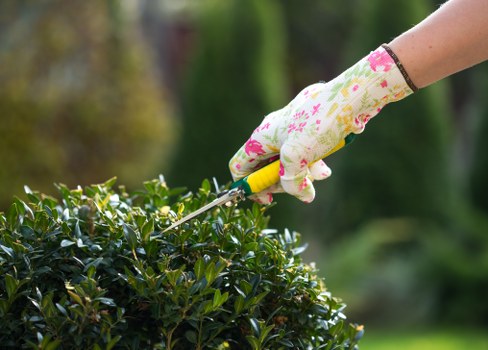 Screen-reader friendly tree surgery information section