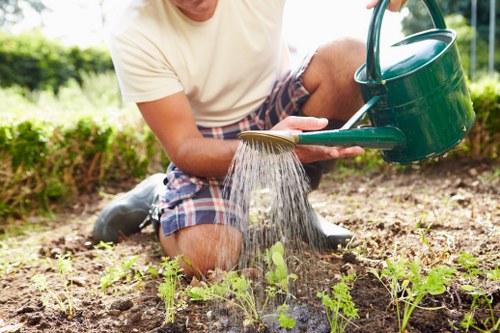 Professional stump grinding on a Woolwich property ready for landscaping