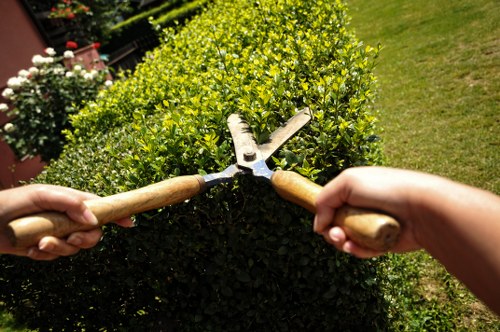 Careful hedge maintenance for a Woolwich commercial property