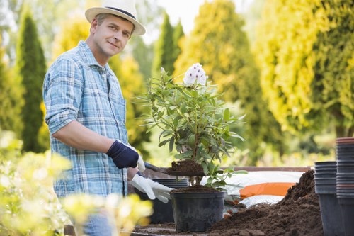 Sustainable tree surgery recycling and waste separation in Woolwich