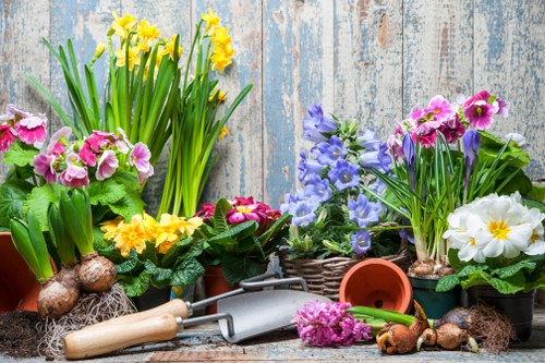 Local tree maintenance and pruning for Woolwich homes and businesses
